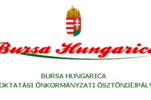 BURSA HUNGARICA FELSŐOKTATÁSI ÖNKORMÁNYZATI ÖSZTÖNDÍJPÁLYÁZAT